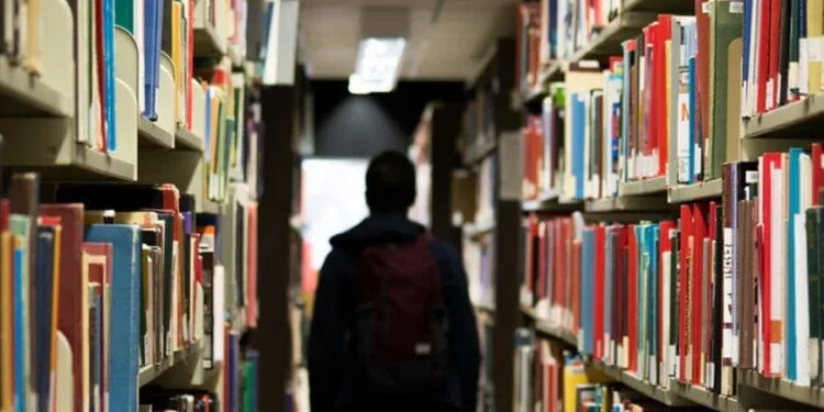 processos seletivos de trainee