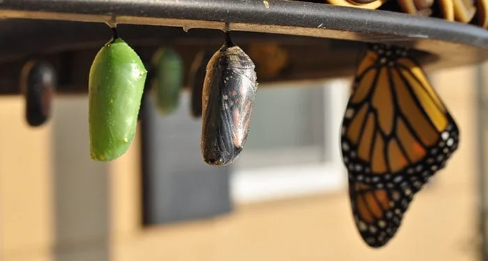 O que a mudança pode fazer