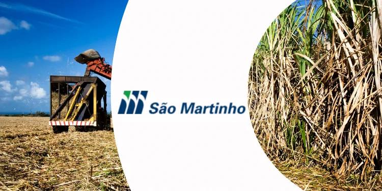Trainee São Martinho