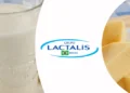 Trainee Lactalis.