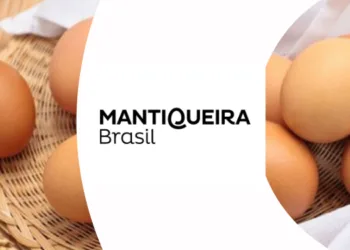 Trainee Mantiqueira