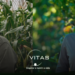 Crédito da imagem: Divulgação Programa Trainee VITAS BRASIL.